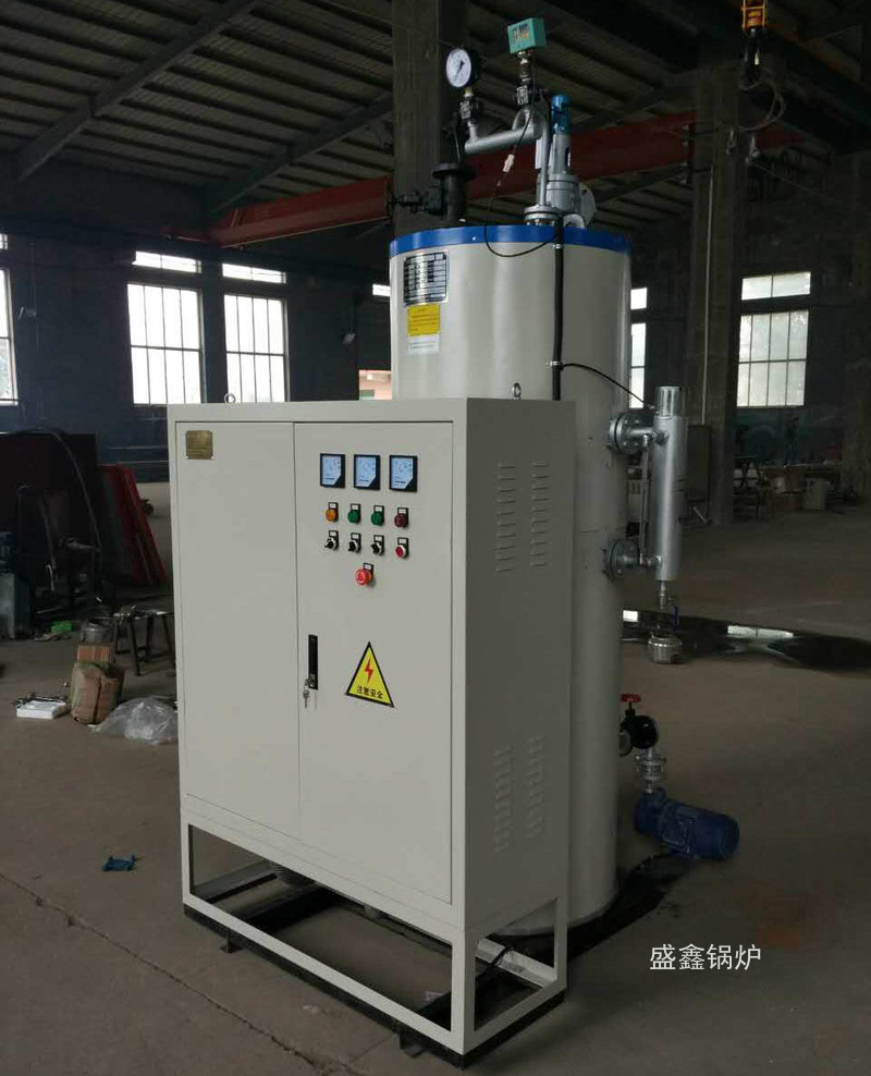 LDR0.3電熱蒸汽發生器